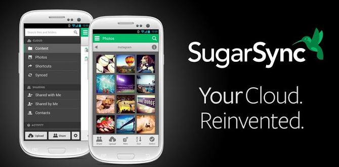 SugarSync Mobile